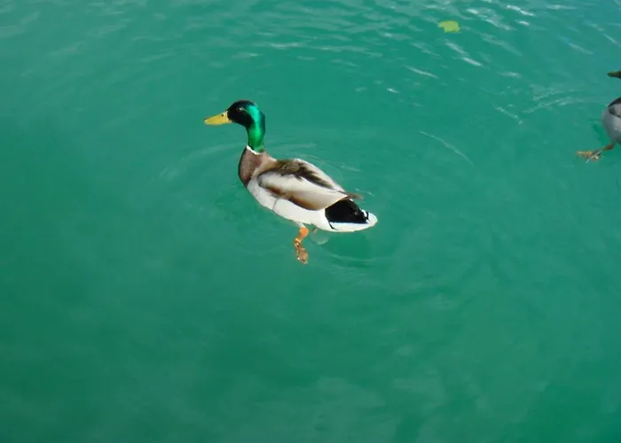 Schlossvilla Miralago Szálloda